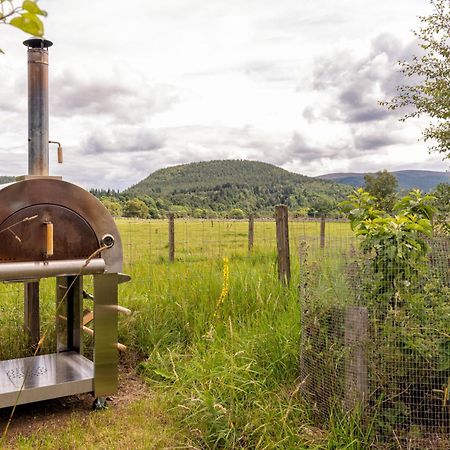 Alba - Charming Boutique Forest View Cabin With Hot Tub In Ballater Extérieur photo